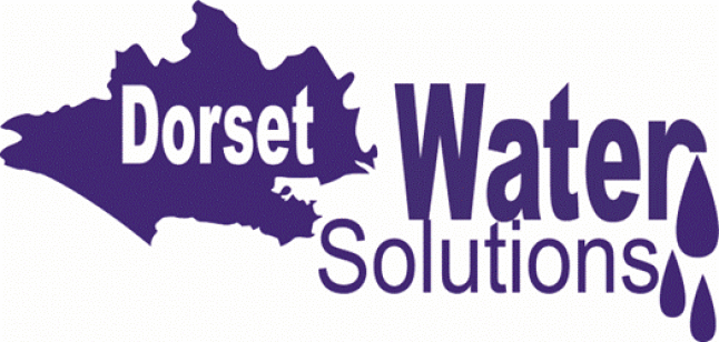 dws logo